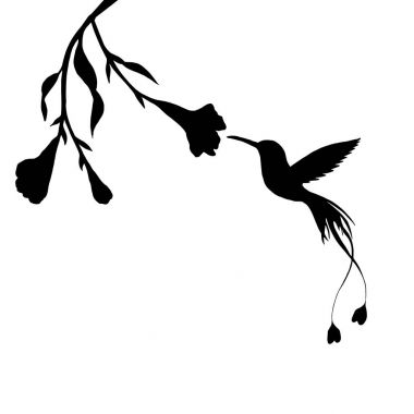sinek kuşu ve çiçek siluetleri