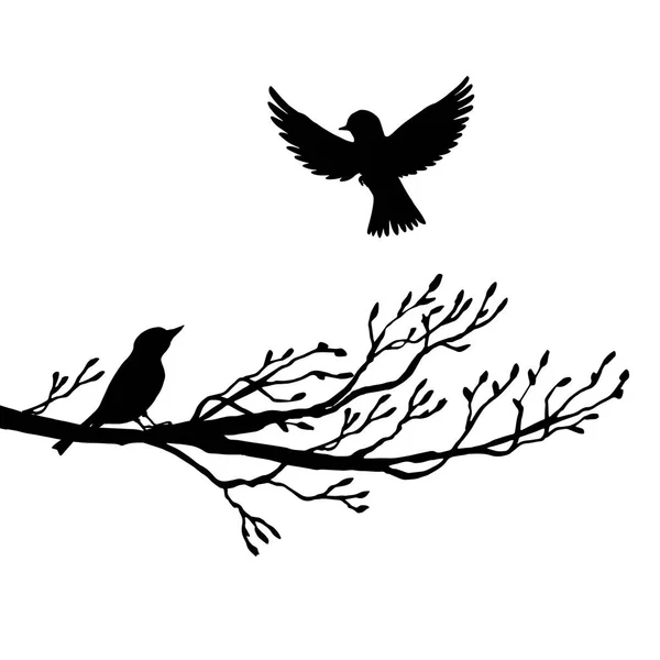 Vogels in de boom silhouetten — Stockvector