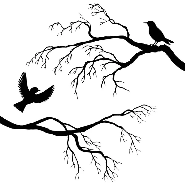 Aves em silhuetas de árvore — Vetor de Stock