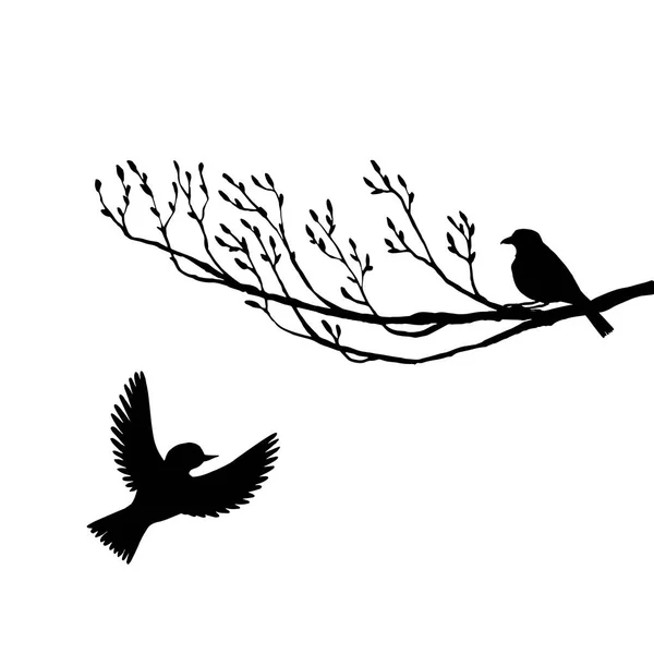 Vögel an Baumsilhouetten — Stockvektor