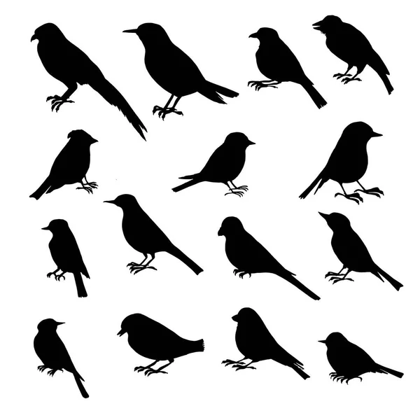 Векторный набор силуэтов птиц — стоковый вектор