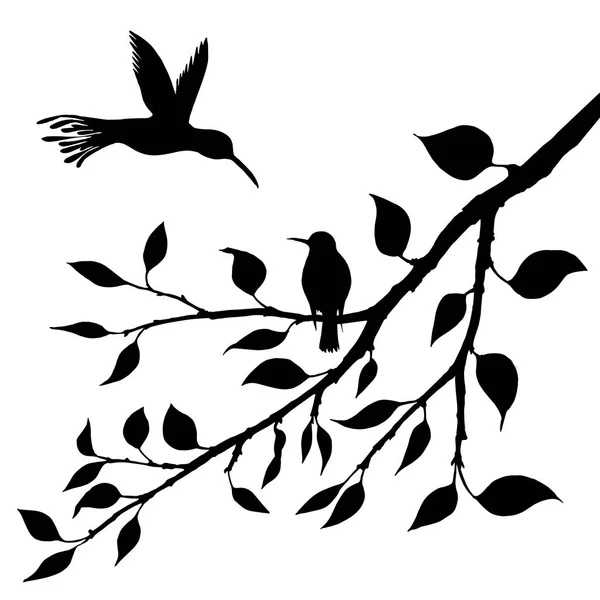 Oiseaux aux silhouettes des arbres — Image vectorielle