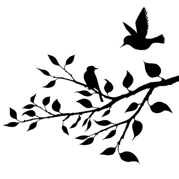 birds at tree silhouettes