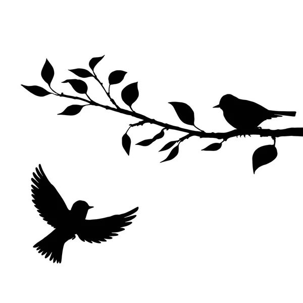 Oiseaux aux silhouettes des arbres — Image vectorielle