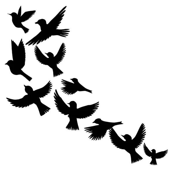 Vector flying birds silhouettes — Stock Vector