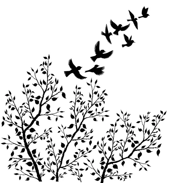 Vector aves voladoras siluetas y follaje del árbol — Vector de stock
