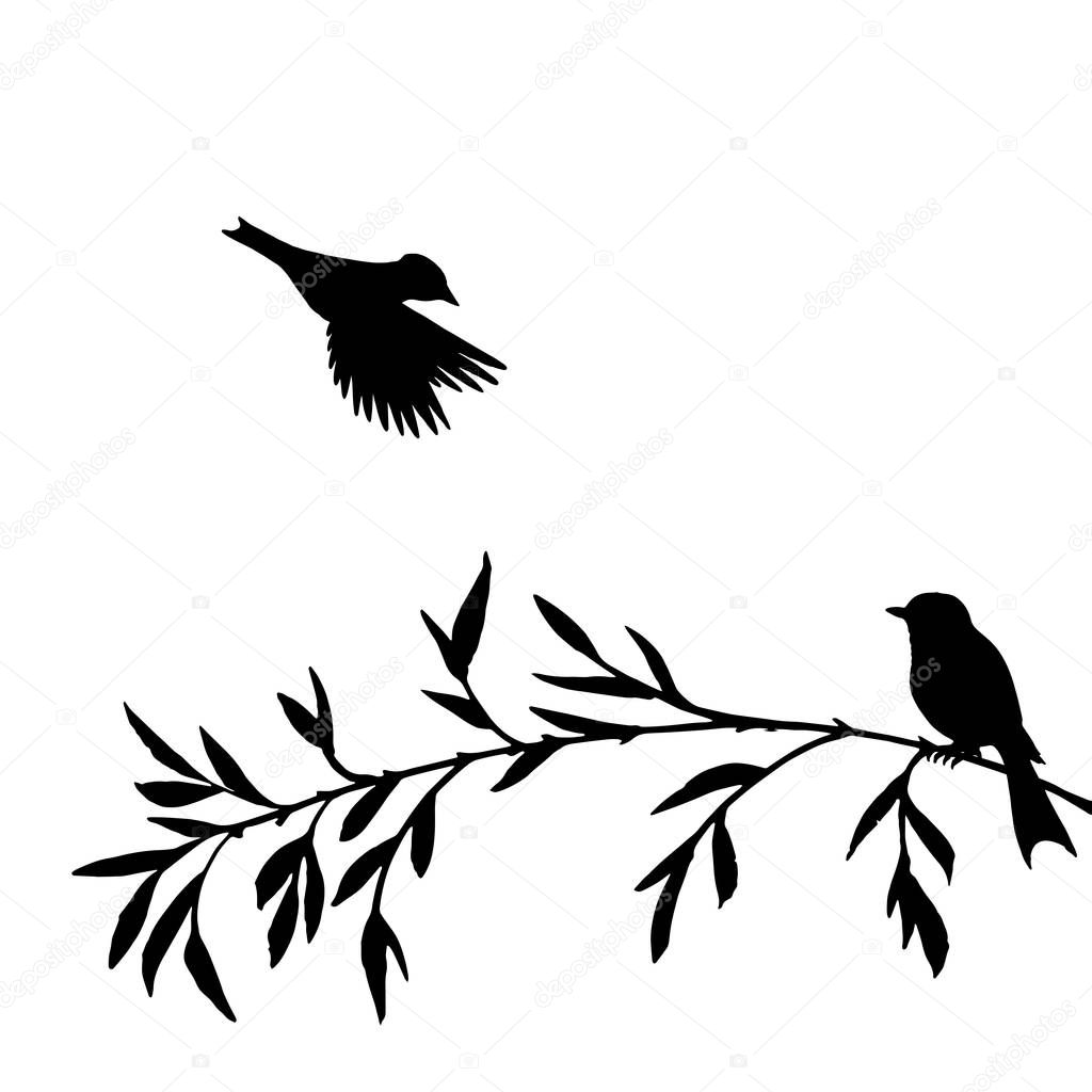 birds at tree silhouettes