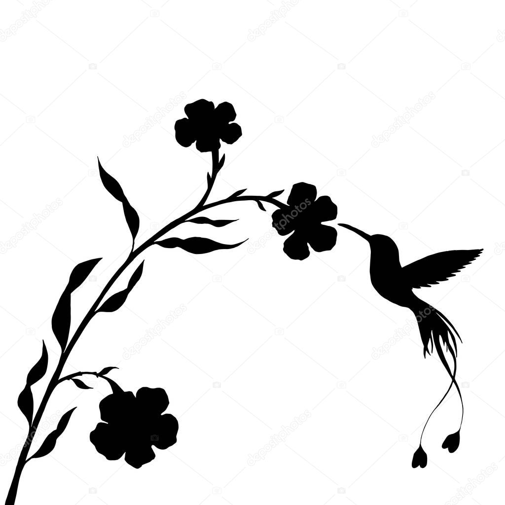 hummingbird and flower silhouettes
