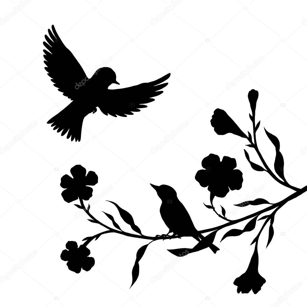 birds at tree silhouettes