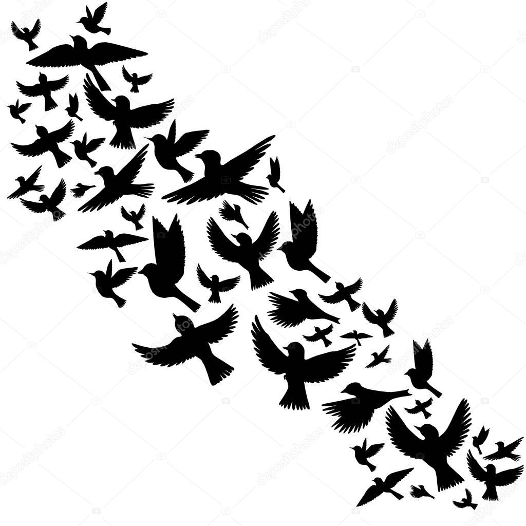 vector flying birds silhouettes
