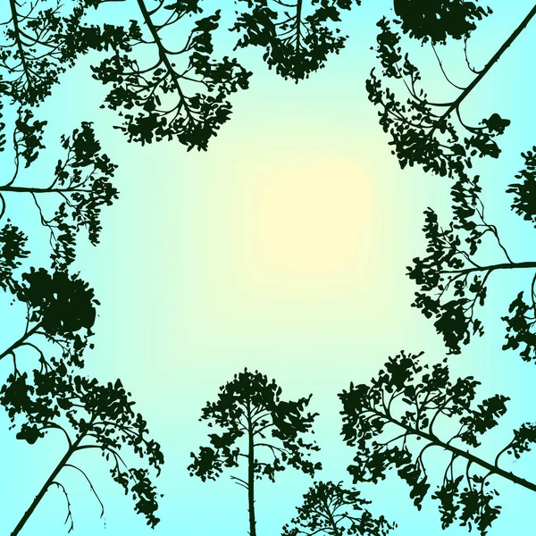 Vector landschap met hemel en dennenbomen — Stockvector