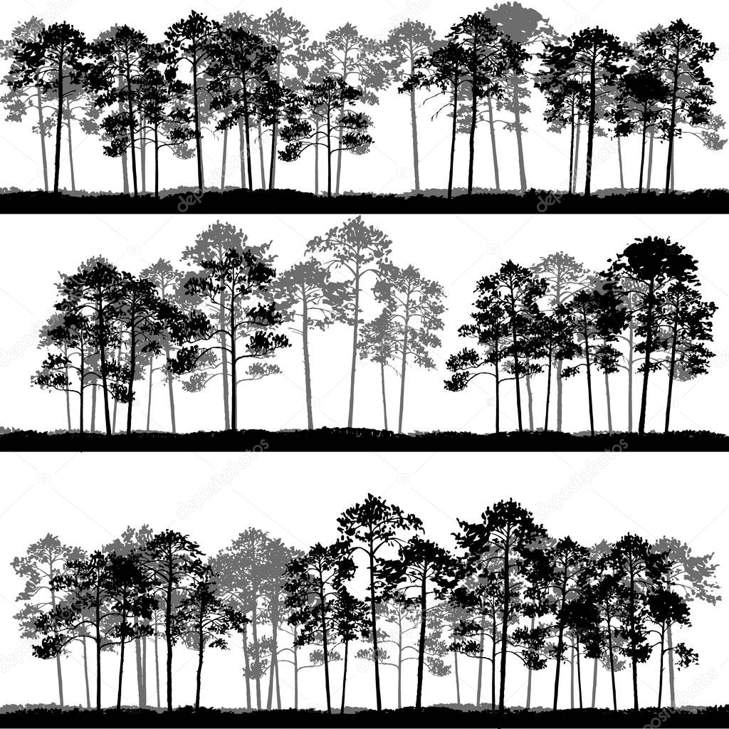 vector landscapes with pine trees