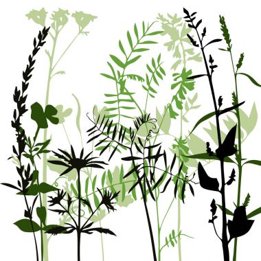 çiçek ve çim Vector silhouettes