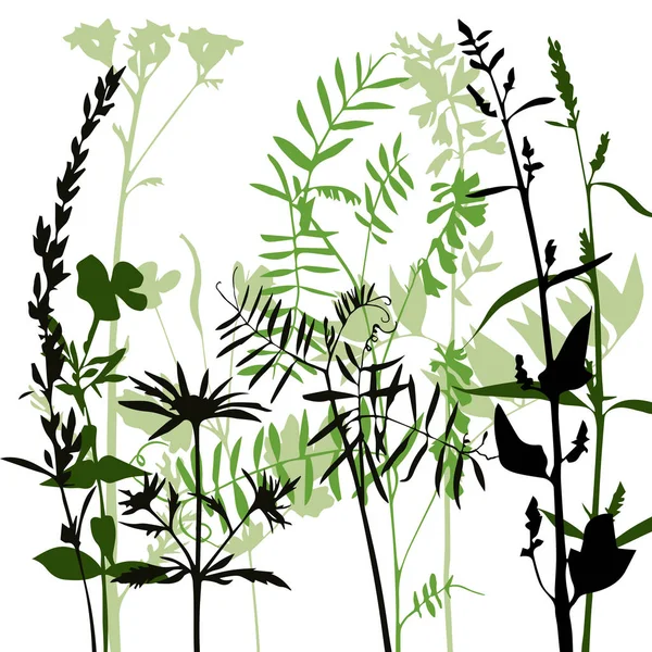 Векторные силуэты цветов и травы — стоковый вектор