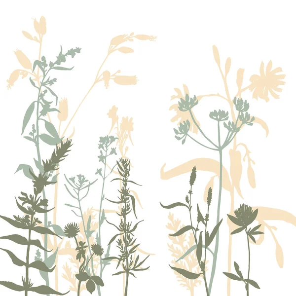 Vektorsilhouetten von Blumen und Gras — Stockvektor