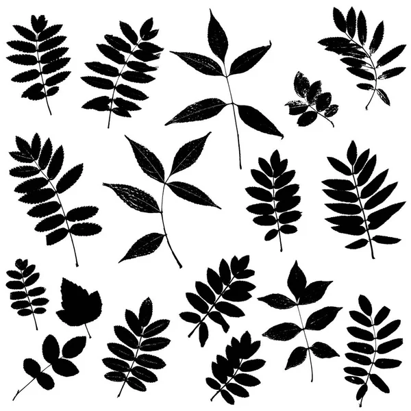 Set van bladeren silhouetten — Stockvector