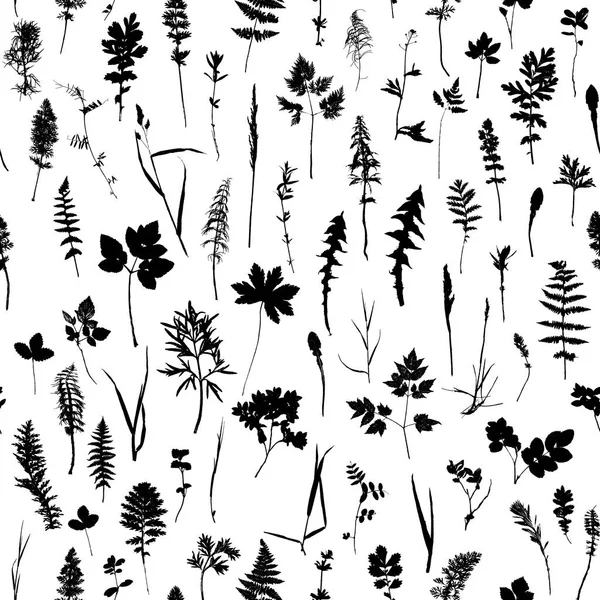 植物や葉のシルエットとシームレスなパターン — ストックベクタ