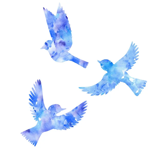 水彩の空飛ぶ鳥シルエット — ストック写真