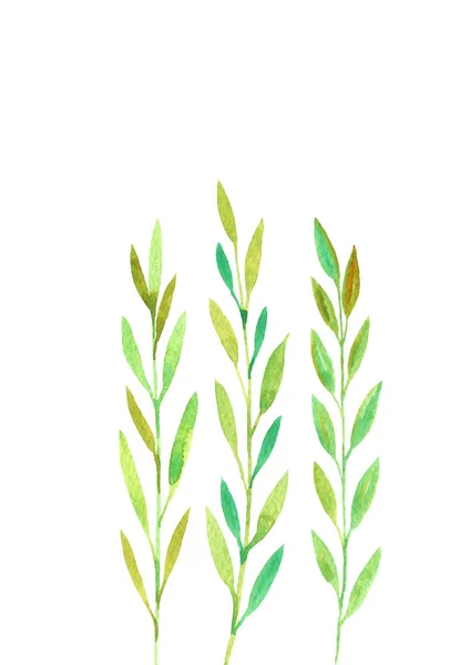 Quadro com galhos doodle aquarela com folhas — Fotografia de Stock