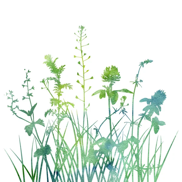 Watercolor wild plants silhouettes — Stock Photo, Image