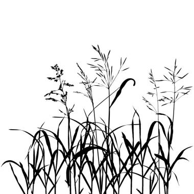 vektör vahşi tahıl bitkiler