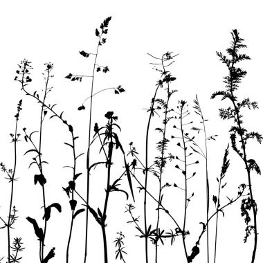 vahşi bitkiler siluetleri vektör