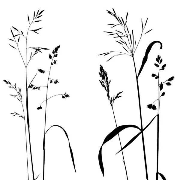 矢量野生谷物植物 — 图库矢量图片