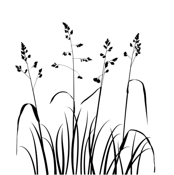 Векторные дикие зерновые растения — стоковый вектор
