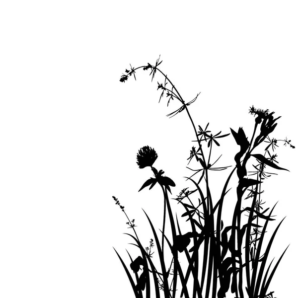 Vector wild plants silhouettes — Stock Vector