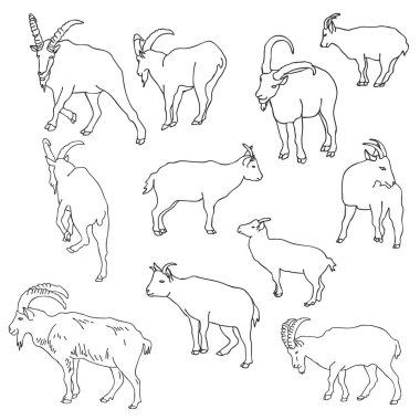 rams vektör kümesi