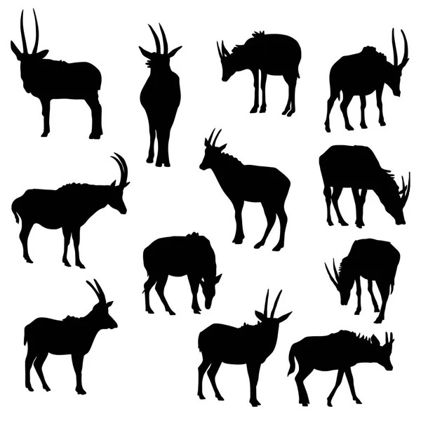 Ensemble vectoriel d'antilopes — Image vectorielle