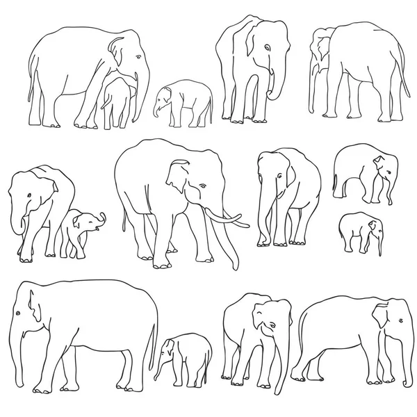 向量集的大象 — 图库矢量图片