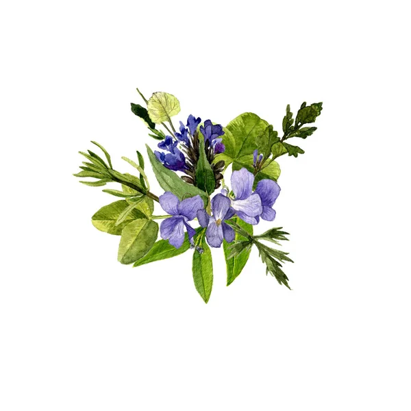 Ακουαρέλα σχέδιο άγρια λουλούδια — Φωτογραφία Αρχείου