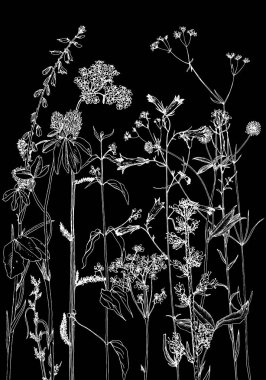 Arka plan bitki ve çiçek çizim ile