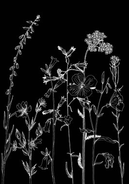 Arka plan bitki ve çiçek çizim ile