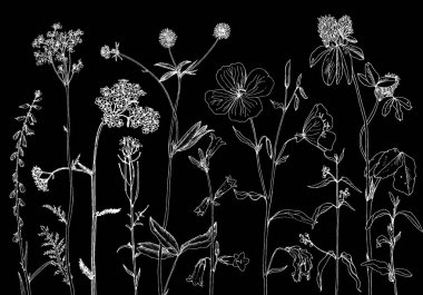 Arka plan bitki ve çiçek çizim ile