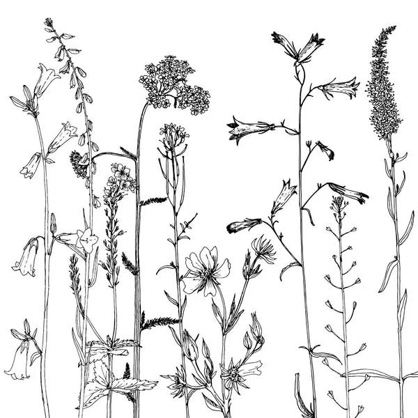 Fondo con tinta dibujo hierbas y flores — Archivo Imágenes Vectoriales