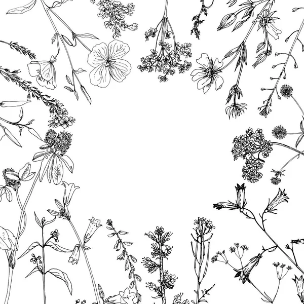 Arrière-plan avec dessin à l'encre herbes et fleurs — Image vectorielle