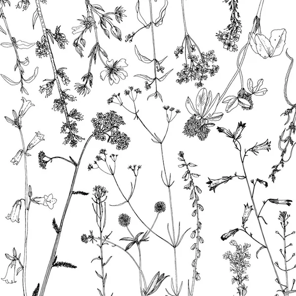 Fondo con tinta dibujo hierbas y flores — Vector de stock