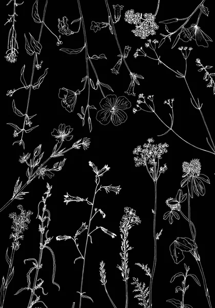 Sfondo con disegno di erbe e fiori — Vettoriale Stock