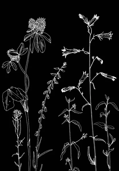 Arka plan bitki ve çiçek çizim ile