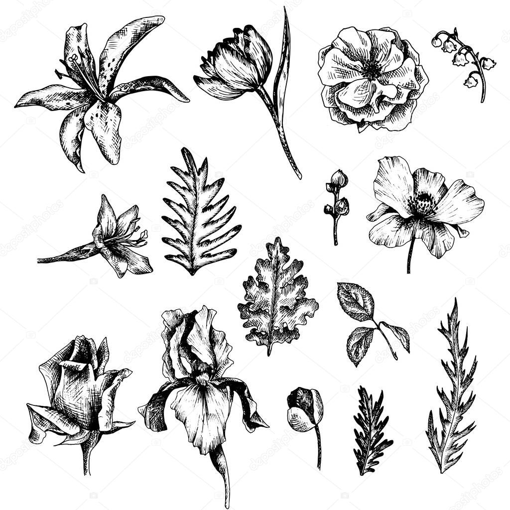 vintage vector floral set