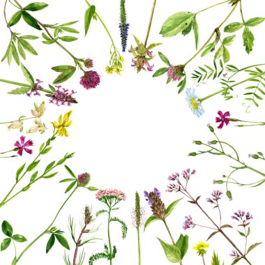 Sulu Boya çizim çiçek ve bitki