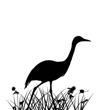 çim siluet balıkçıl