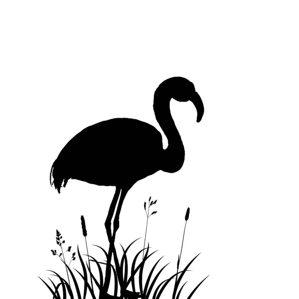 Flamingo en silueta de hierba — Vector de stock