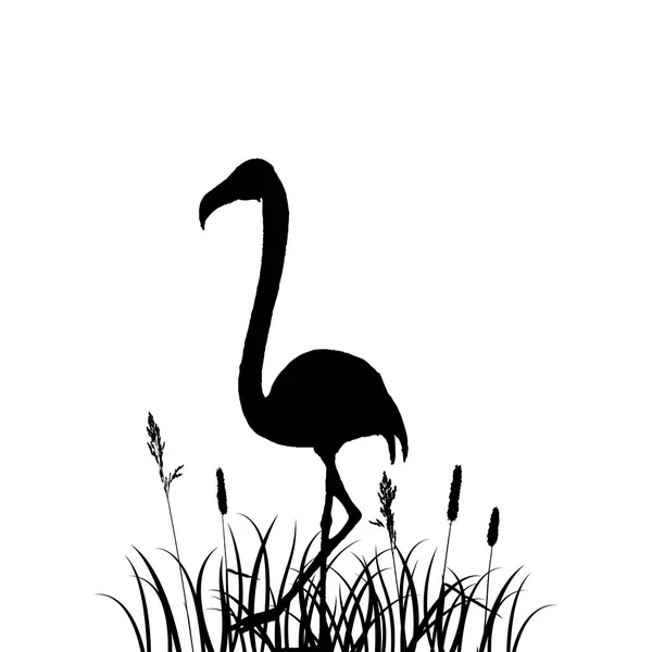 Flamingo en silueta de hierba — Vector de stock