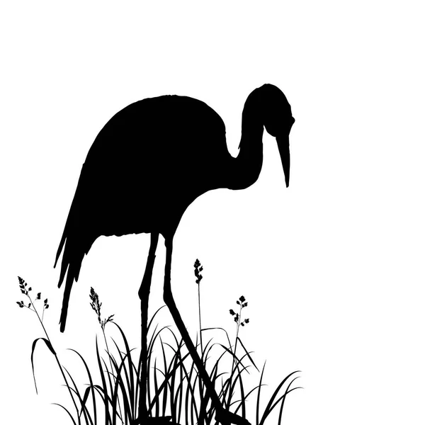 Heron in grass silhouette — Stock Vector