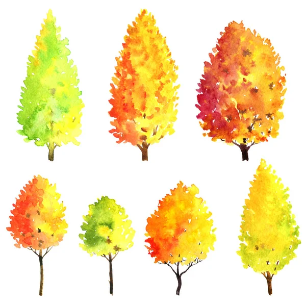 Sada podzimní stromy, kresba, akvarel — Stock fotografie