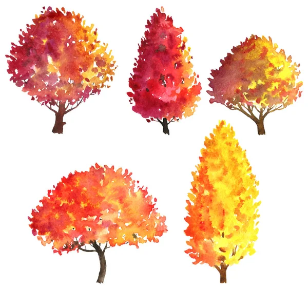 水彩で描く秋の木々 のセット — ストック写真