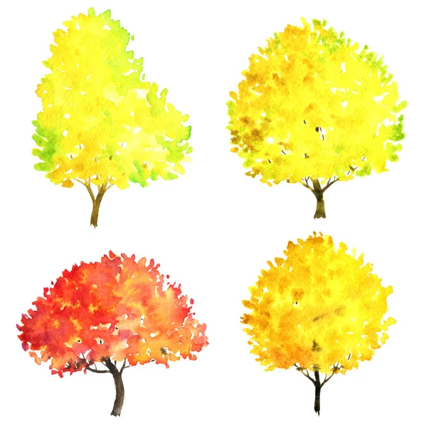 Set of autumn trees drawing by watercolor — Stock Photo, Image